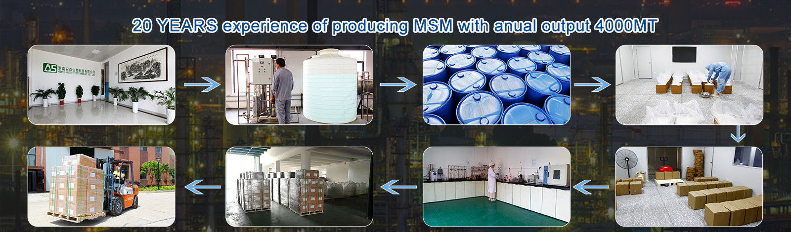 MSM Methylsulfonylmethane