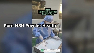 MSM Powder For Joint Skin Hair Nails
